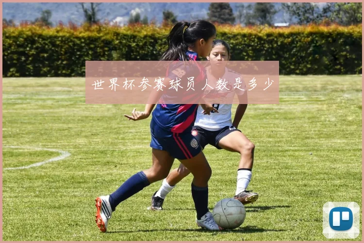 世界杯参赛球员人数是多少